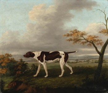 A pointer with a hare in an extensive landscape