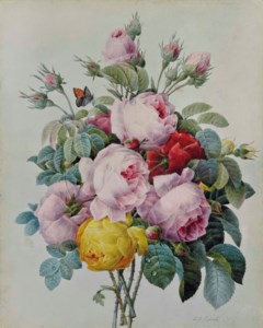 A bouquet of roses and rose buds, with a Small Copper butterfly