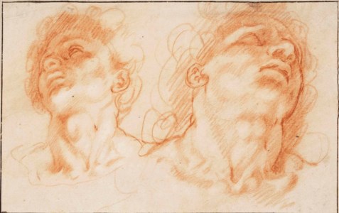 The heads of the sons of Laocoön