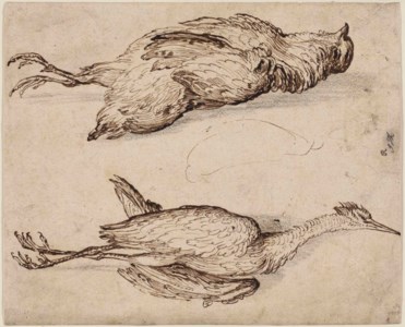 A partridge and a squacco heron