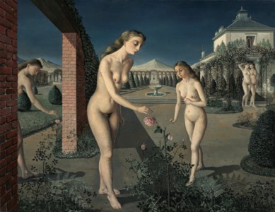Le jardin nocturne