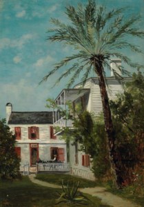 Palm in St. Augustine, Florida