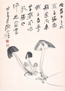Sichuan Mushrooms