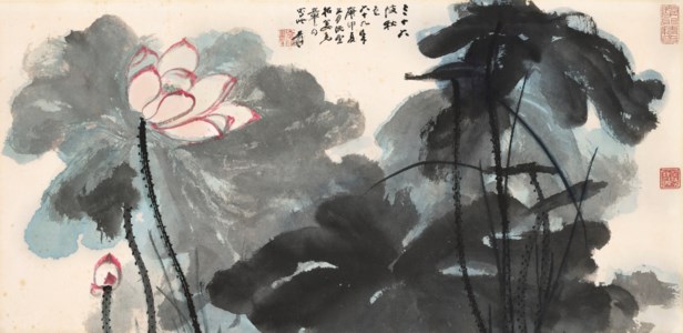 Lotus Pond