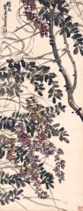 Wisteria