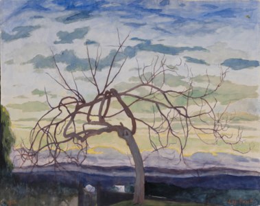 Vijgenboom in de winter, Grasse