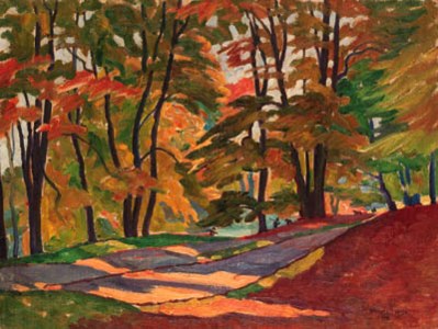 Sunlight Glade