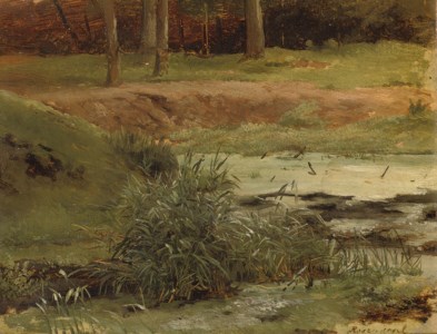 Rosendaal: the pond
