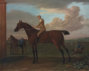 Wanton , a bay racehorse with jockey up, at Newmarket