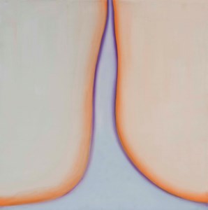 Untitled (from the Bribes de Corps series)