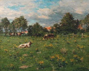 Cattle resting in a summer meadow