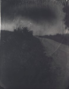 Untitled (Wilderness #19), 2001