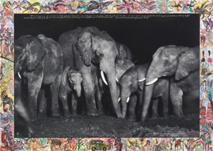 Elephant Family at Night at a salt lick, Aberdare Forest, 1972/2009