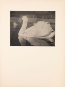 The Swan, 1927