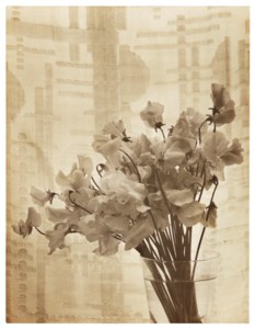 Untitled (Flowers in vase), 1930