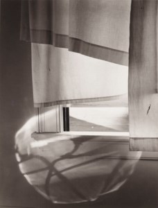 Windowsill Daydreaming, Rochester, New York, July, 1958