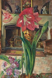 Amaryllis