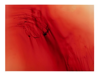 Urgency XIX