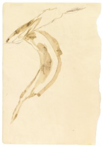 Angstsprung des elektrisierten Fuchses (The Electrified Fox Jumping in Fear)