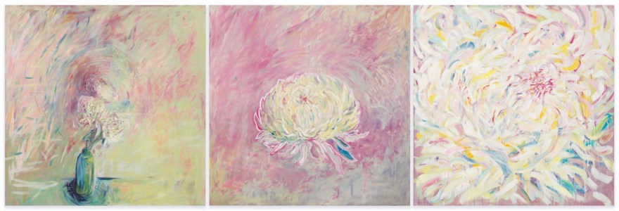 Pink Chrysanthemum