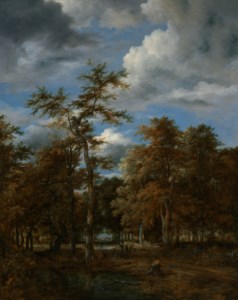 Wooded landscape
