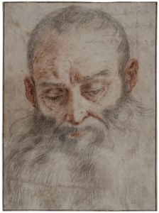 Head of a bearded man