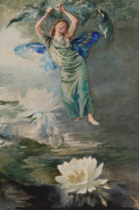 Waterlily Fairy