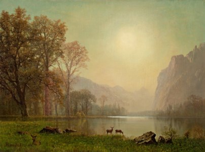 Dawn in the Rockies