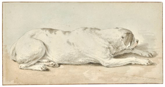 A dog