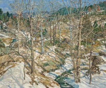 The Birches (The Ravine)