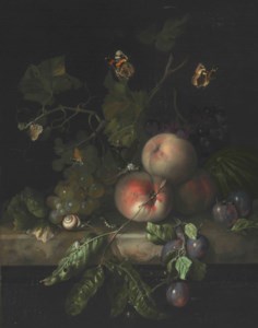 Peaches, grapes, and plums with a dragonfly, snail, caterpillar, moths, and other insects on a stone ledge