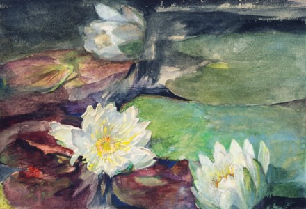 Water Lilies with Green Pads
