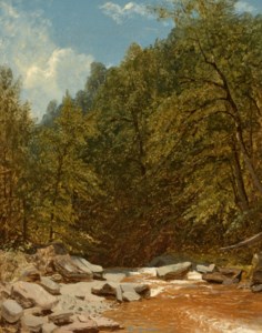 Rocks and Brook in the Catskills