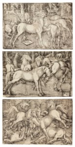 Groups of Horses