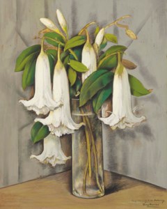 Floripondios