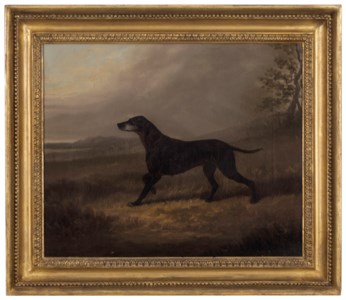 Tippoo, a pointer in a landscape