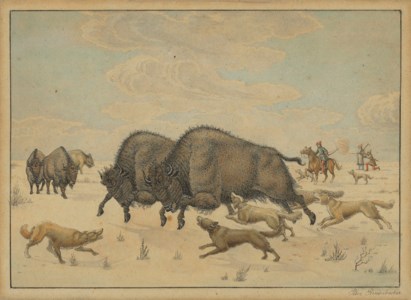 Bison Hunt