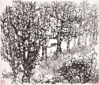 Plowing a Wooded Field