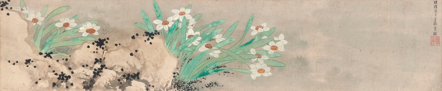 Narcissus