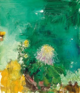 Chrysanthemum