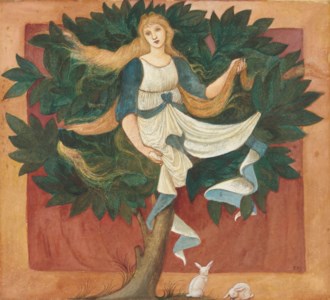 The Wood-Nymph