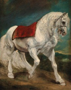 An Andalusian horse (recto) ; A wooded landscape – a sketch (verso)