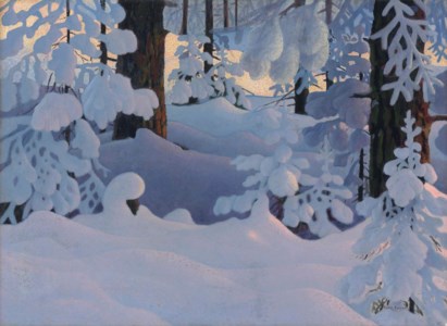 A forest in winter