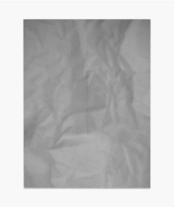 Tauba Auerbach, Crumple IV