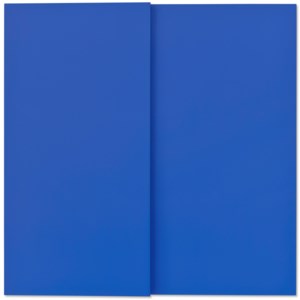 Blue Tablet