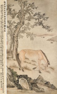 Emaciated Horse