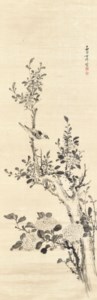 Bird on Flowering Branch