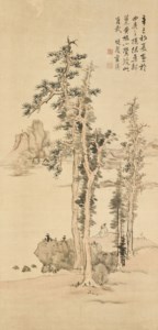 Contemplating under Pine