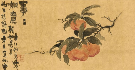 Persimmon