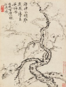 Plum Blossoms
